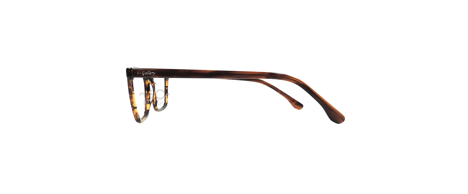 I-Gallery 2210 / C309 Brown Camo Glossy